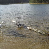 lekker in het water met Rider
