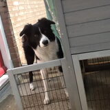 Foto van Angelique, Kleine Maybe en Tess <3