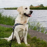 Langs de Amstel