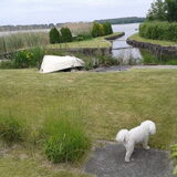 Foto van sylvia