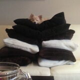 Toppunt van luxe!!??