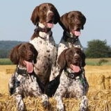 Samen op de foto, midden in de natuur!!