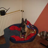 Storm's Nieuwe Mand