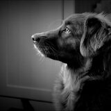 Foto van Maks met Fenna & Yuna