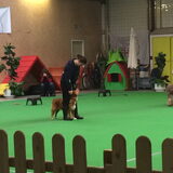 Workshop dog dance Brigitte van gestel