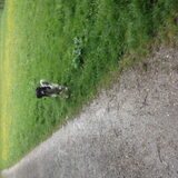 Foto van Michelle & Bentley