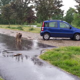 Foto van team Shadow