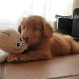 Foto van judith