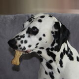 Foto van Dirk en Joppe