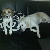 Foto van Michelle, Luna en James