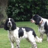 Jazz en Jagger op de achtergrond...