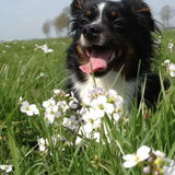Foto van Manja