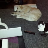 Foto van Rafaella en Sam
