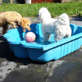 Foto van Inge, baasje van Gina, Flynn en Wobbe