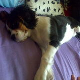 zzzz Knor Knor zzzzz