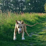 Foto van Anita