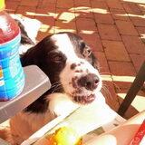 ''Gooi die bal nou!'' 17-05-2014