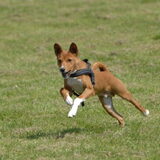 1ste keer coursing