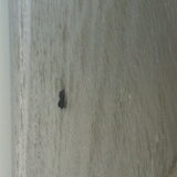 Zwemmen in de zee, dat is geweldig
