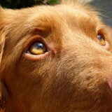 Foto van judith
