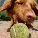Foto van judith