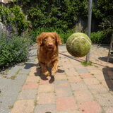 Foto van judith