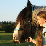 Foto van Tamara,Kallista & Marcel, Hercule †, Yordi †