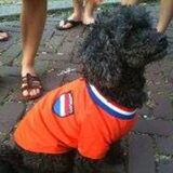 Ik ben er weer helemaal klaar voor! Het WK 2014!