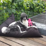 Foto van Crissy, Joey en Kiwi