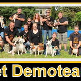 Onze honden vereniging Het Jack Russell Terrier Raceteam. Hier wat…