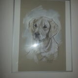 Foto van Golden Girls