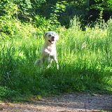 Foto van esther