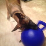 Fun met de jolly bal