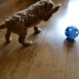 Spelen!!