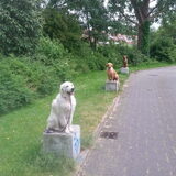 Foto van Golden Girls