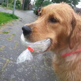 Foto van Golden Girls