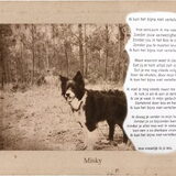 Lieve lieve Misky. 31-5-1999 16-5-2014