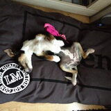 whahaha diepe slaap.. charming