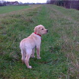 Sam op de dijk