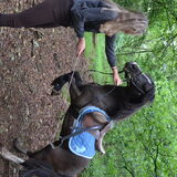 Foto van * Baasje Buddie met Anne*