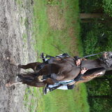 Foto van * Baasje Buddie met Anne*