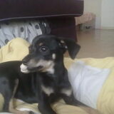 Foto van Jenny