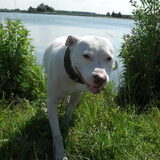 Foto van anja