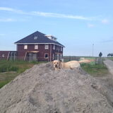 Foto van ..Nadine&Denzel..