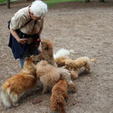 Foto van Inge, baasje van Gina, Flynn en Wobbe