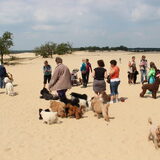Foto van Inge, baasje van Gina, Flynn en Wobbe