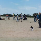 Foto van Inge, baasje van Gina, Flynn en Wobbe