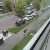 Foto genomen vanaf ons appartement.