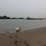 Foto van Inge, baasje van Gina, Flynn en Wobbe