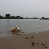 Foto van Inge, baasje van Gina, Flynn en Wobbe